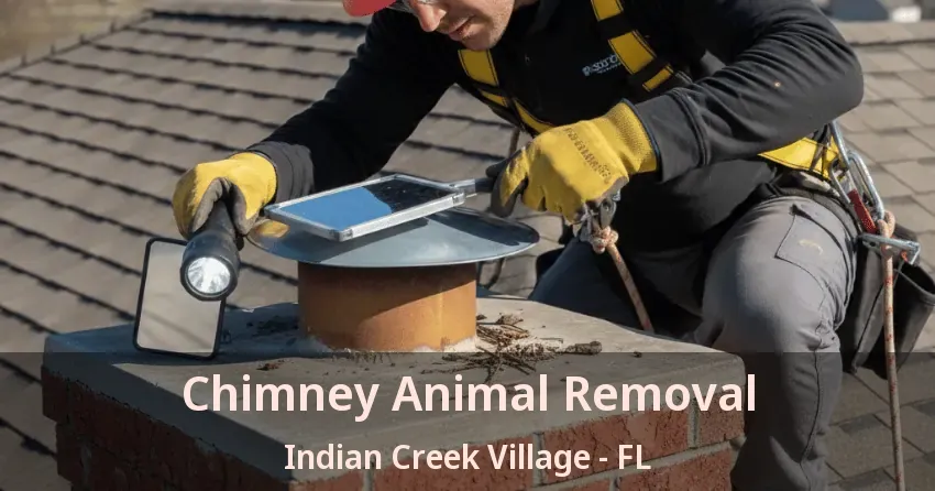 Chimney Animal Removal Indian Creek Village - FL