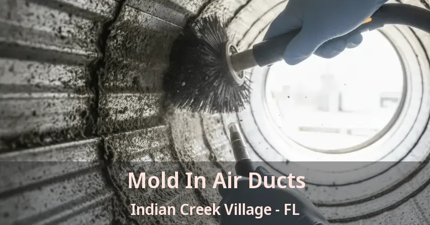 Mold In Air Ducts Indian Creek Village - FL